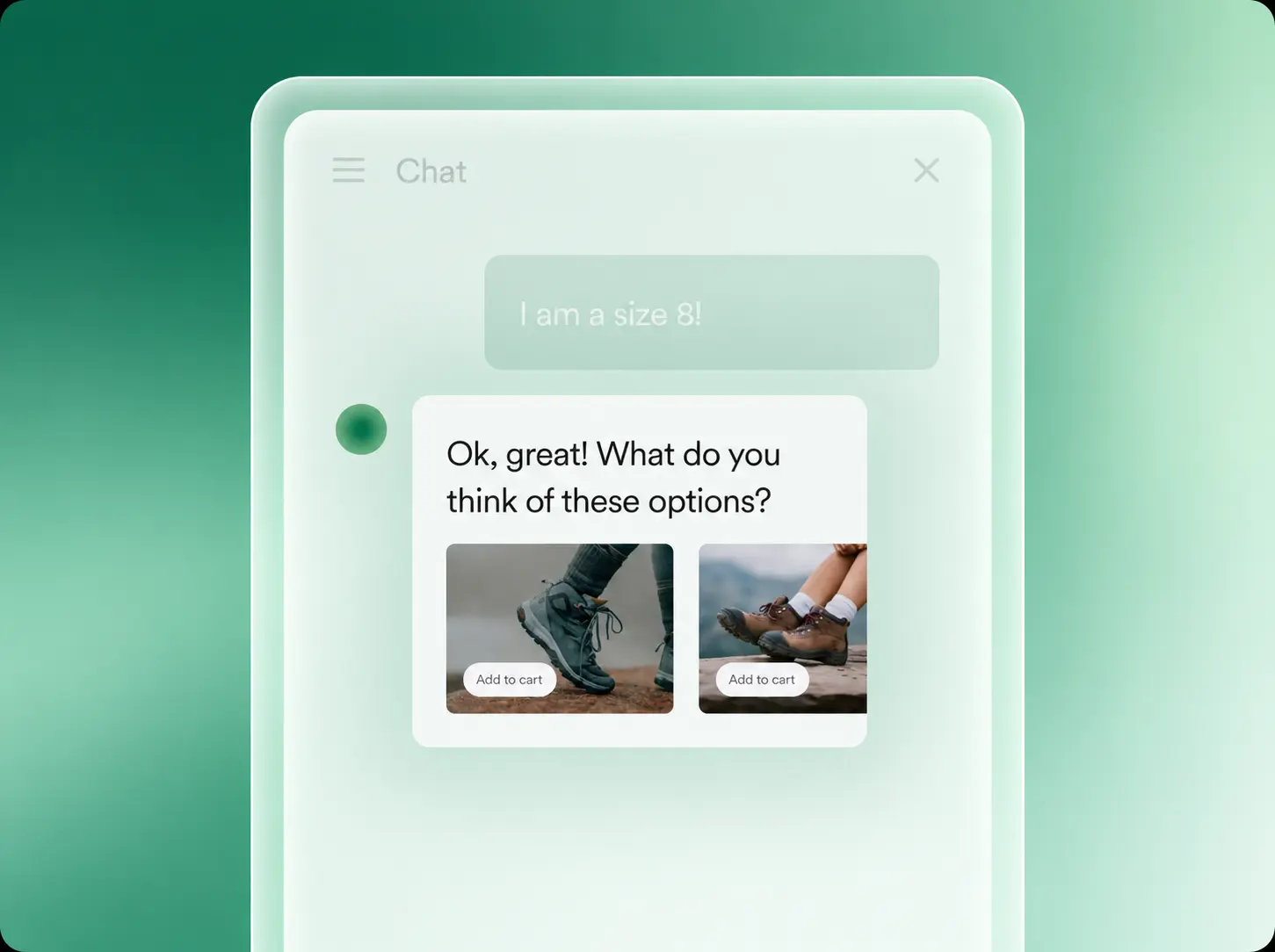 Customer support chat presenting visual product recommendations and next steps
